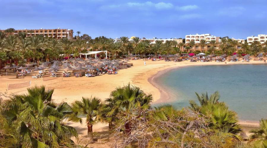 Wat zijn de populairste voertuigkeuzes in Marsa Alam?